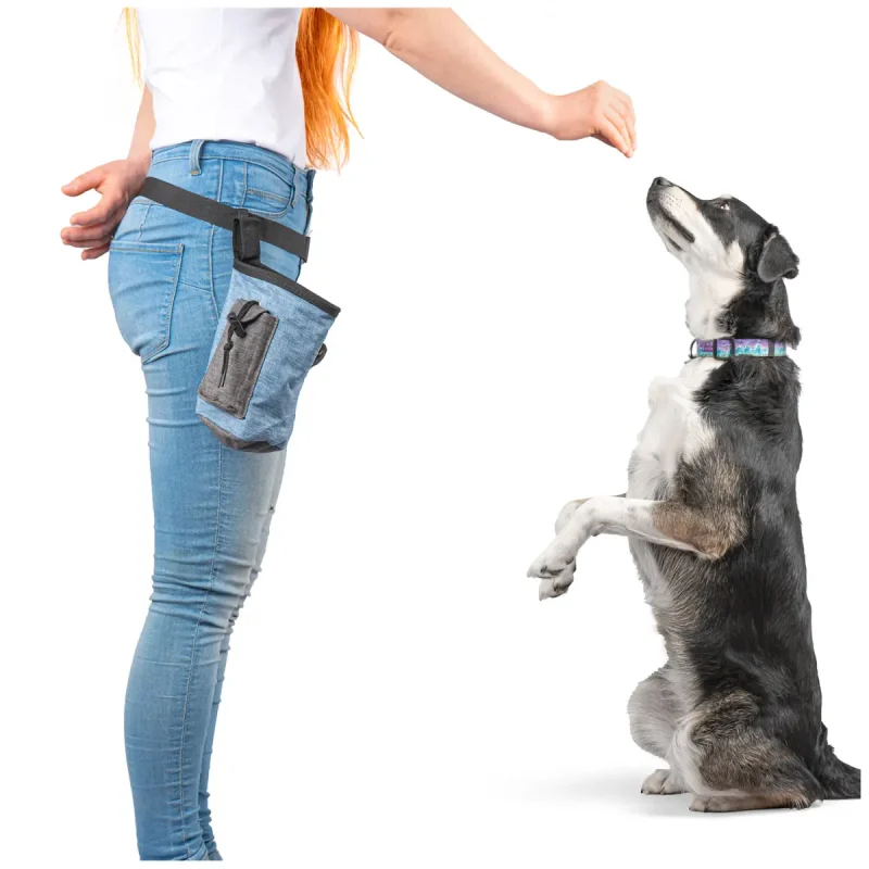 Alternative view of Saszetka na smakołyki dla psa Niebieska