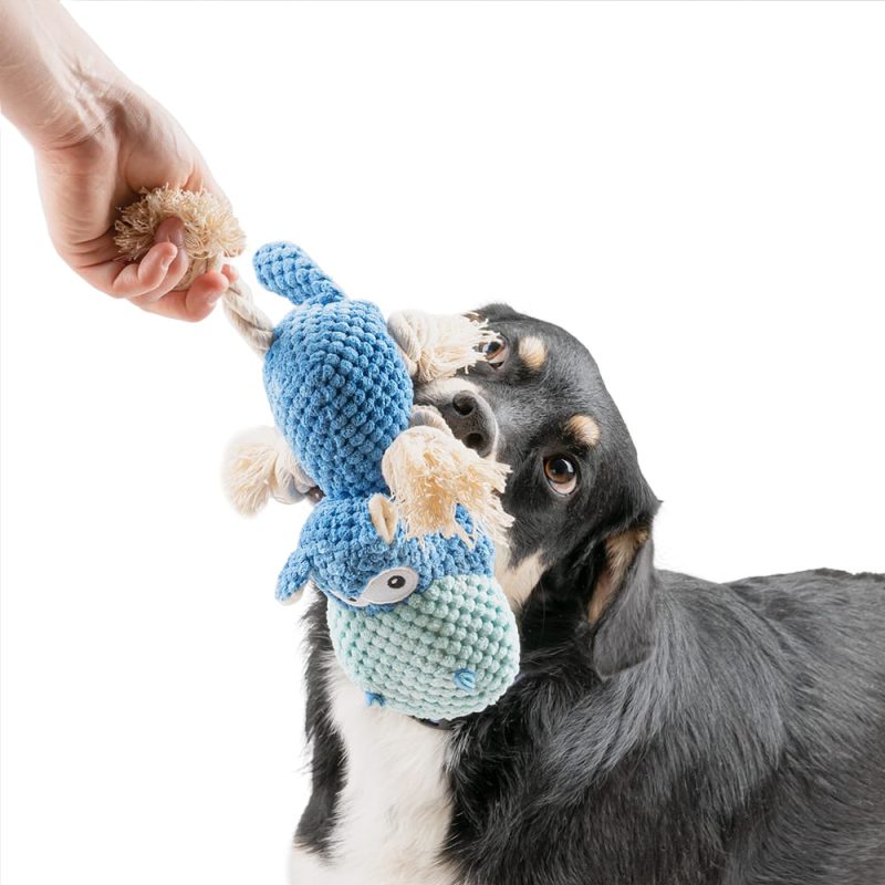 Alternative view of Pluszowy niebieski hipopotam z piszczałką dla psa