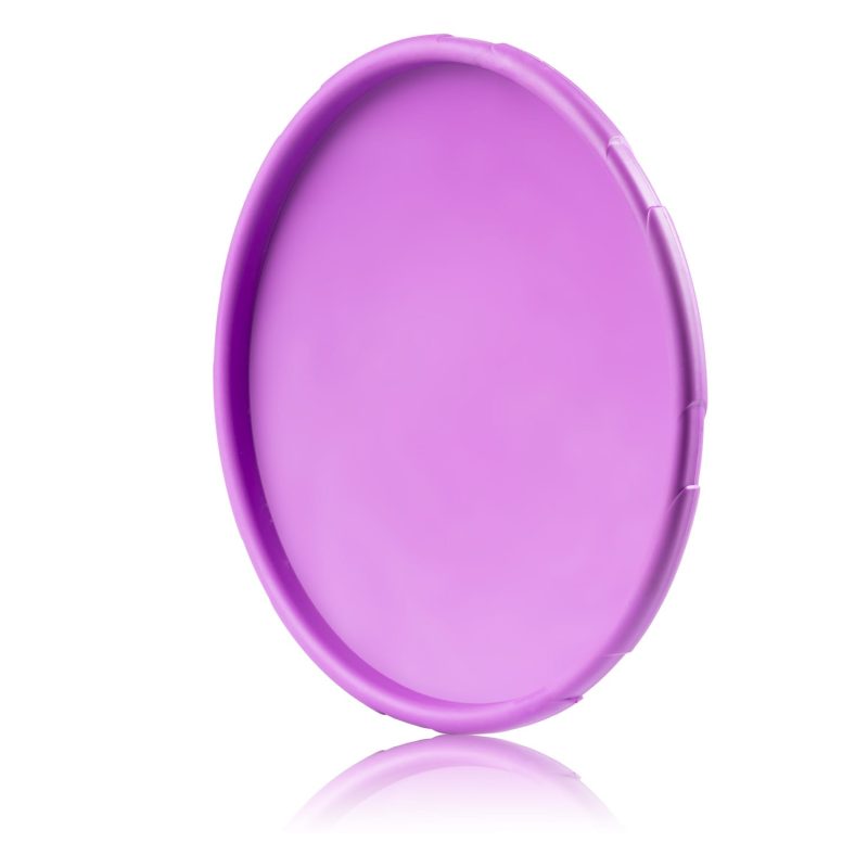 Alternative view of Frisbee do aportowania dla psa