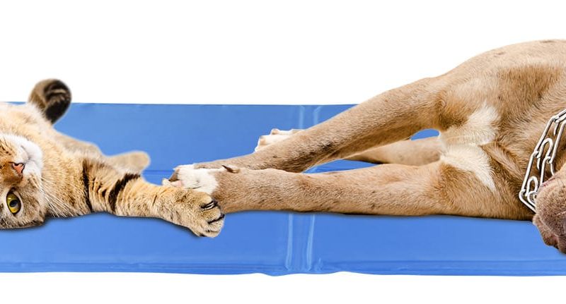 Alternative view of Żelowa mata chłodząca dla psów i kotów 96 x 81 cm