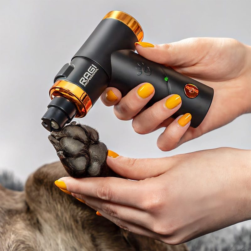 Obcinanie pazurów u psa