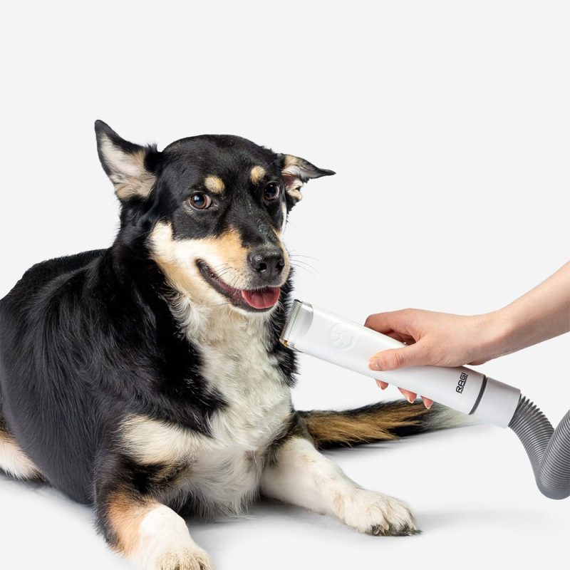 Alternative view of Odkurzacz do sierści psa, maszynka i szczotka - akcesoria do strzyżenia zwierząt