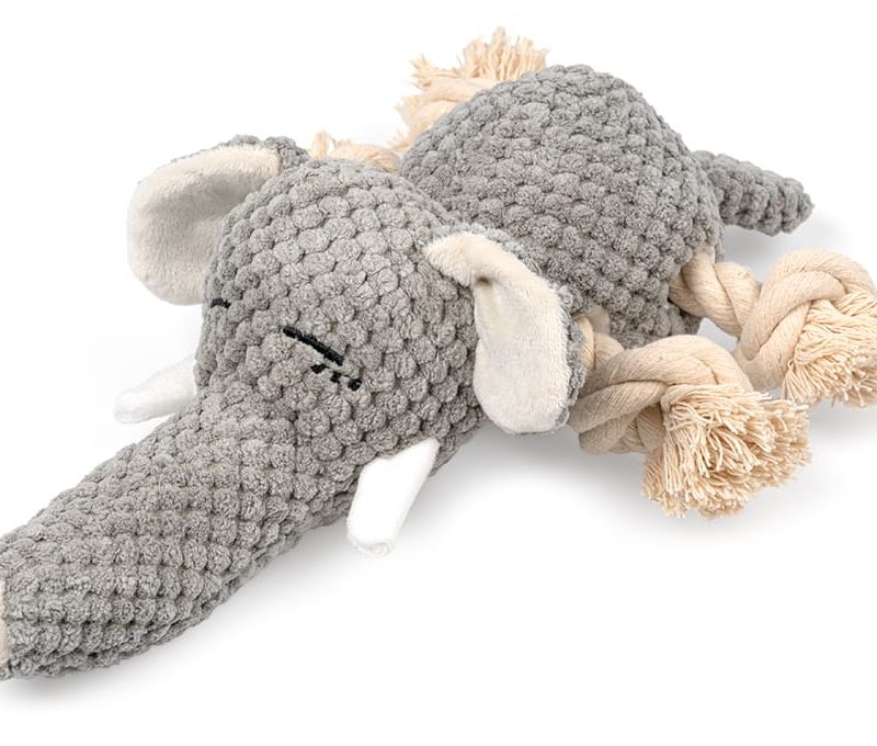 Pluszowy słoń ze sznurem dla psa