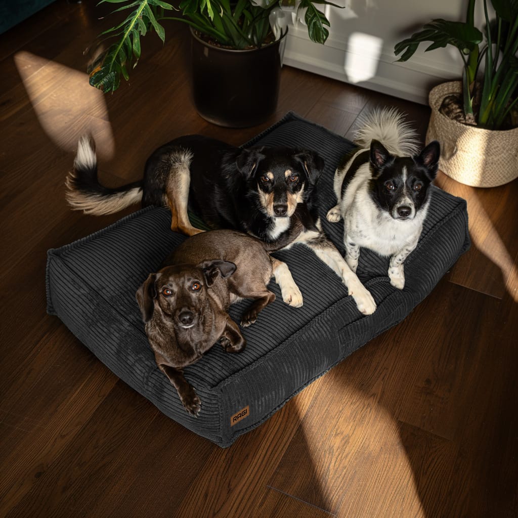 Legowisko dla psa Łóżko Materac Posłanie dla psa Grafitowe Rozmiary - obrazek 8